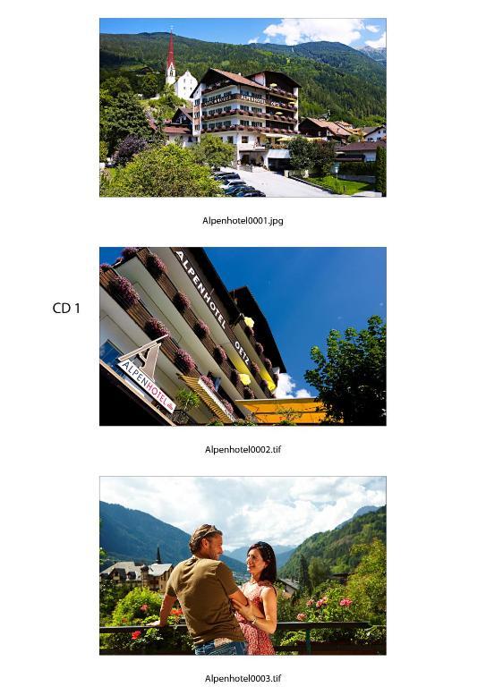 Alpenhotel Oetz Kültér fotó