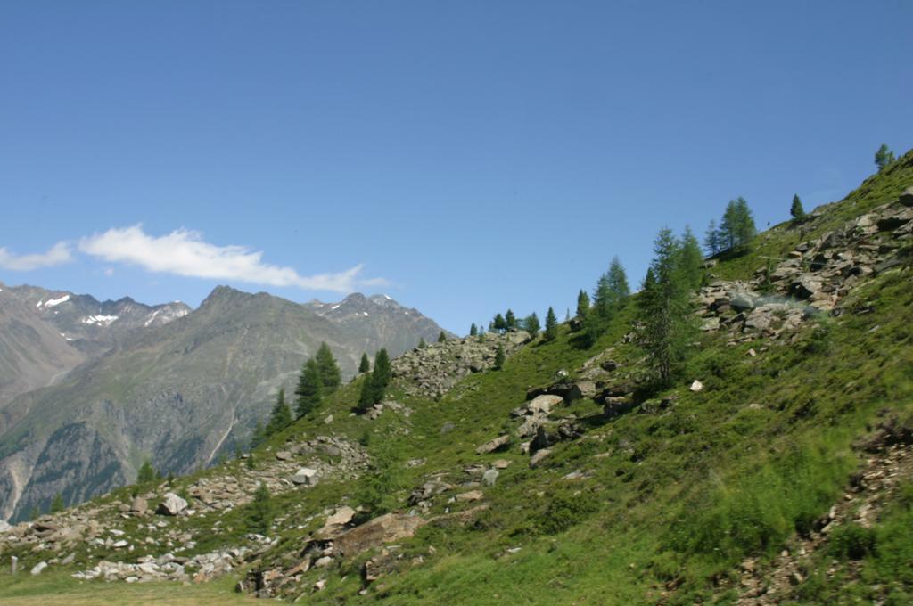 Alpenhotel Oetz Kültér fotó